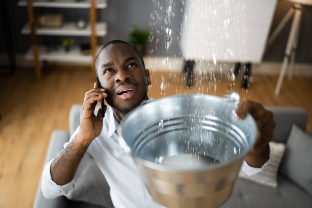 Best Water damage cleanup near me  in Palermo, CA