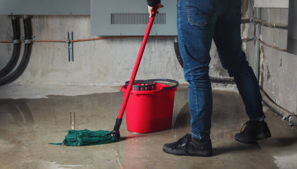 Best Water damage contractors near me  in Palermo, CA