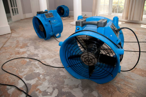Reliable Palermo, CA Water damage restoration Solutions