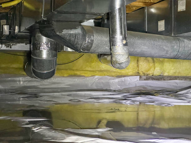 Best Flood restoration services  in Palermo, CA