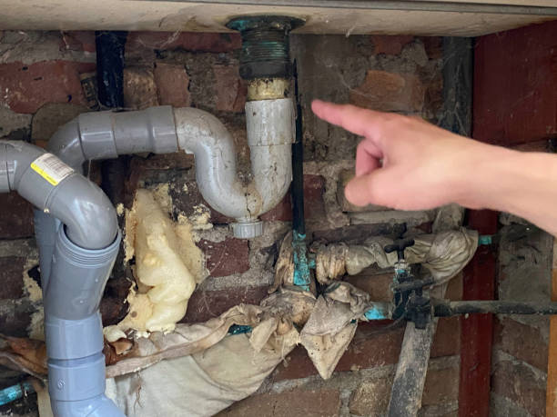 Best Water damage cleanup near me  in Palermo, CA